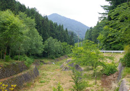 不動湯から富士山方向を望む