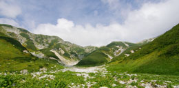 雷鳥沢より立山